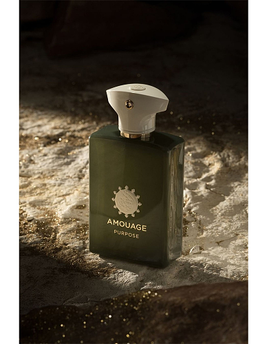 Amouage Purpose Amouage 100ml