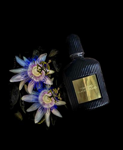 Black Orchid Tom Ford 100ml
