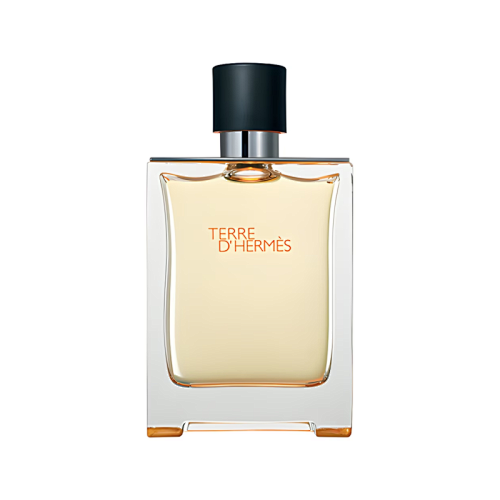 Terre d'Hermès Hermès 100ML