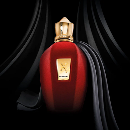 Wardasina Xerjoff 100ML