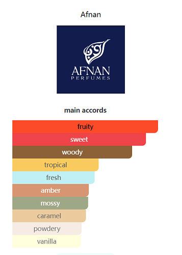 9 PM Rebel Afnan 100ml