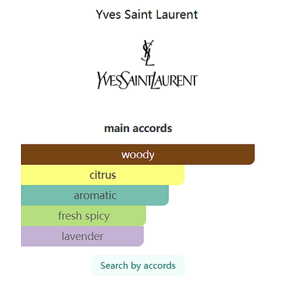 L'Homme Eau de Parfum Yves Saint Laurent 100ml