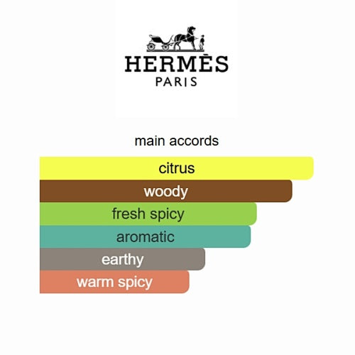 Terre d'Hermès Hermès 100ML