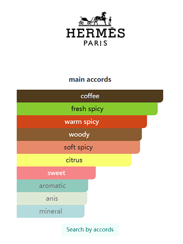 Terre d’Hermès Intense Hermès 100ml
