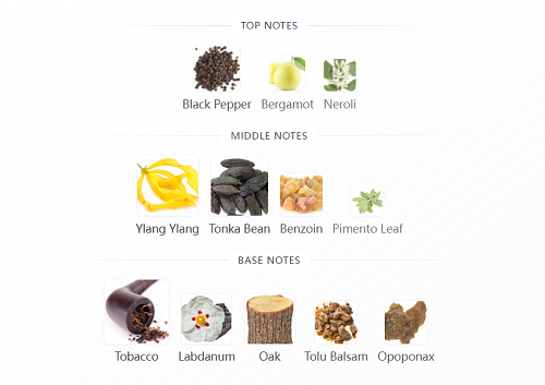 Ylang Ambrato Gucci 100ml
