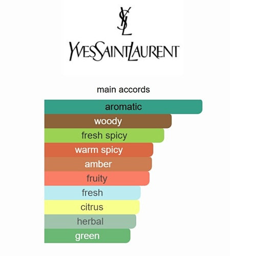 Y Eau de Parfum Yves Saint Laurent 100ml