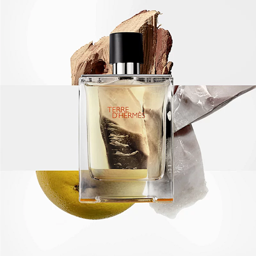 Terre d'Hermès Hermès 100ML